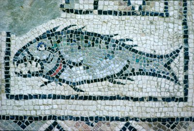 Fish on a Roman floor (mosaic) by Roman
